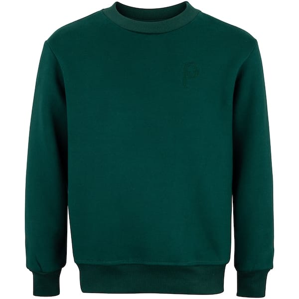 Blusa de Moletom do Palmeiras Betel Champion Juvenil