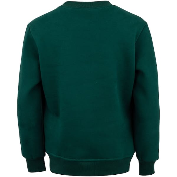 Vista 2 Blusa de Moletom do Palmeiras Betel Champion Juvenil Betel VERDE