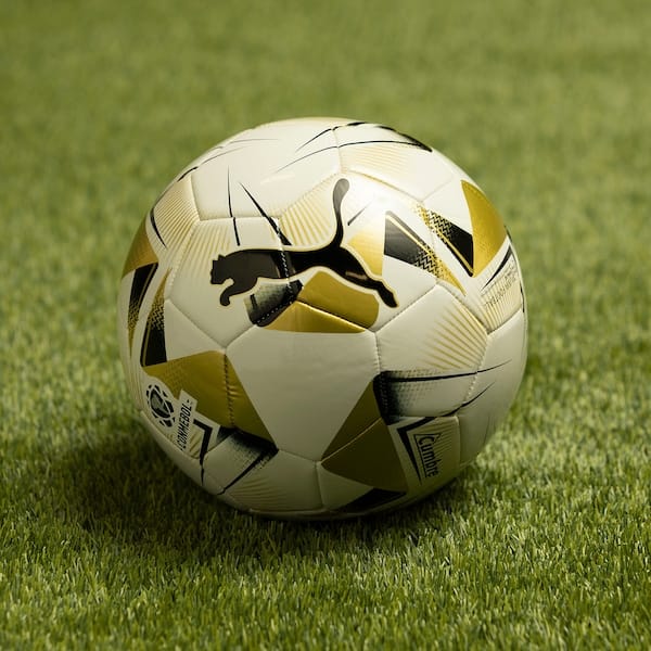 Bola de Futebol de Campo Puma Conmebol Libertadores MS - 2