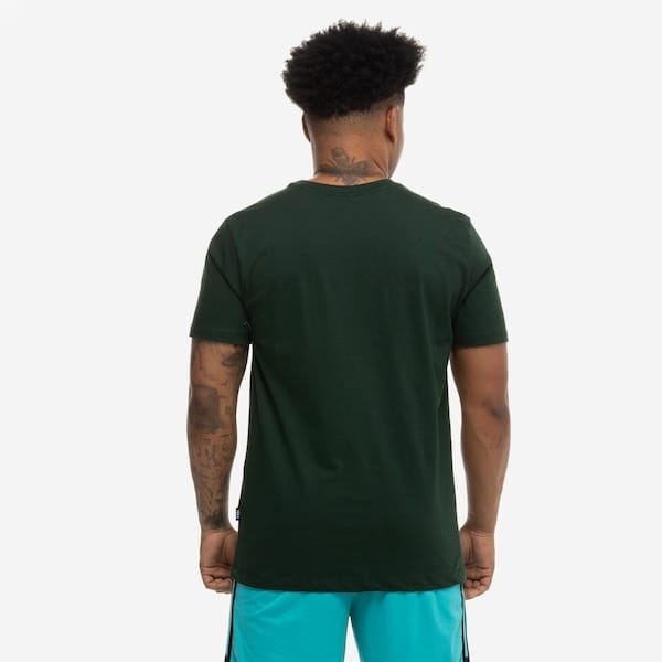 Vista 2 Camiseta do Boston Celtics NBA Angles N0422 Masculina NBA VERDE