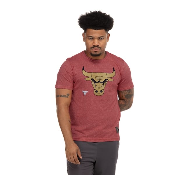Vista principal Camiseta do Chicago Bulls NBA Estamp N815A Masculina NBA VERMELHO