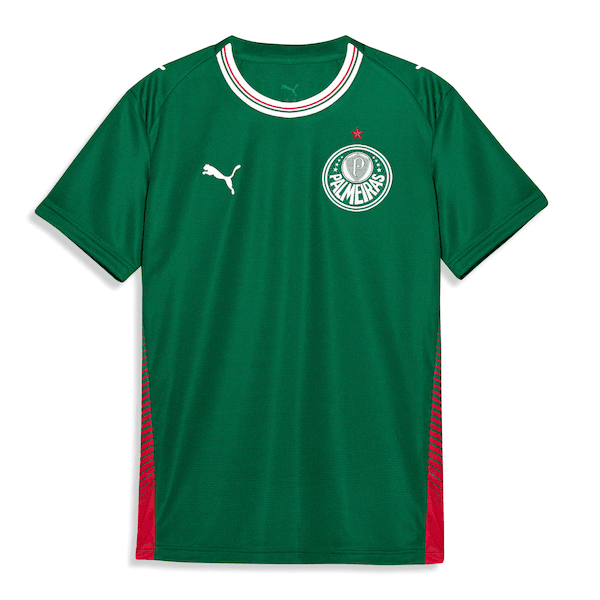 Camisa do Palmeiras I 26/27 Torcedor Puma Infantil