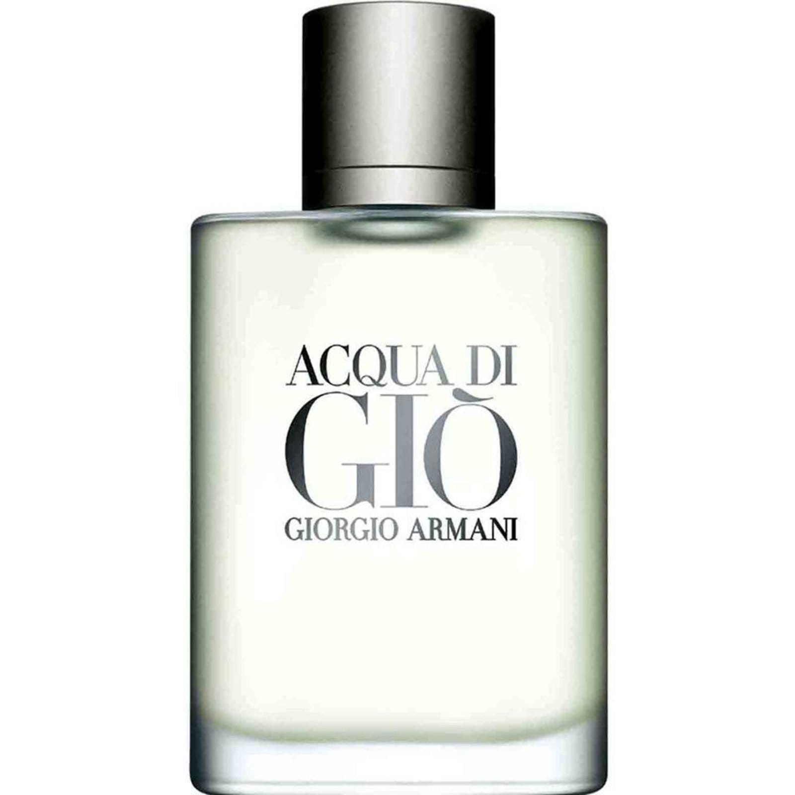 Acqua Di Gio Masculino Eau de Toilette 100 ml