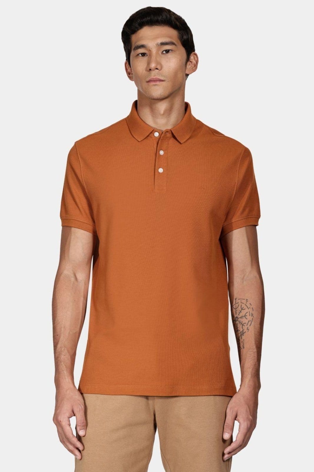 Vista principal Polo Aramis Piquet Básica Aramis caramelo