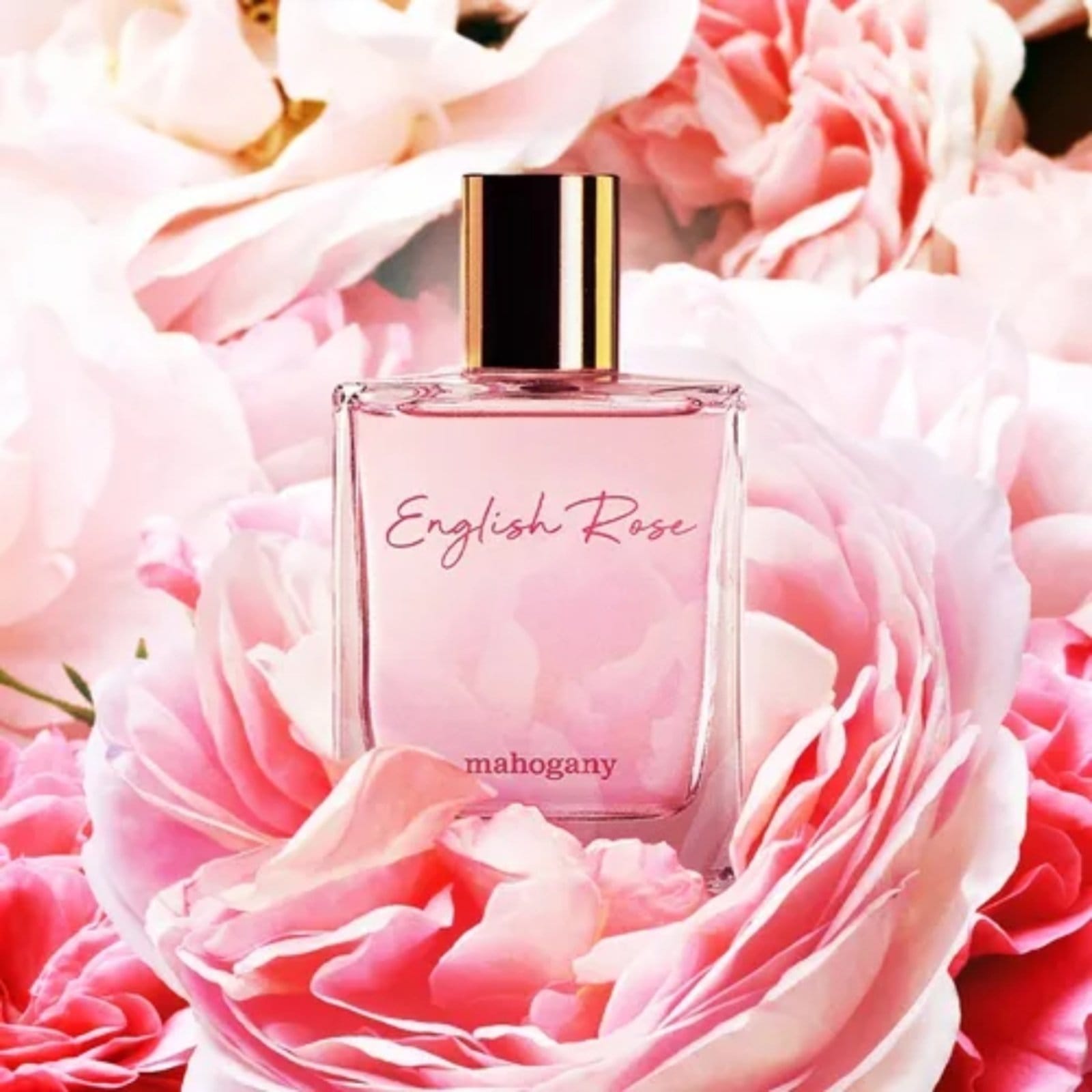 Vista principal Perfume English Rose Mahogany - Fragrância Corporal Mahogany unico rose