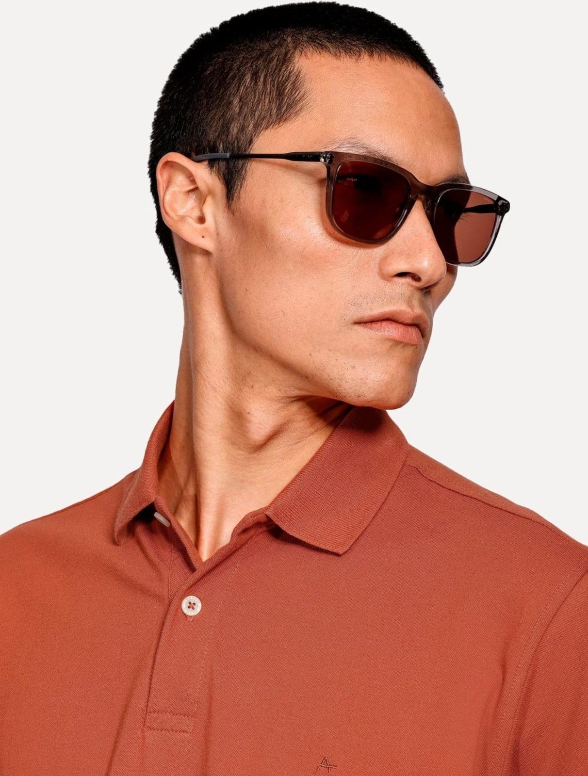 Vista 2 Polo Aramis Masculina Piquet Basic Mono Terracota Aramis caramelo