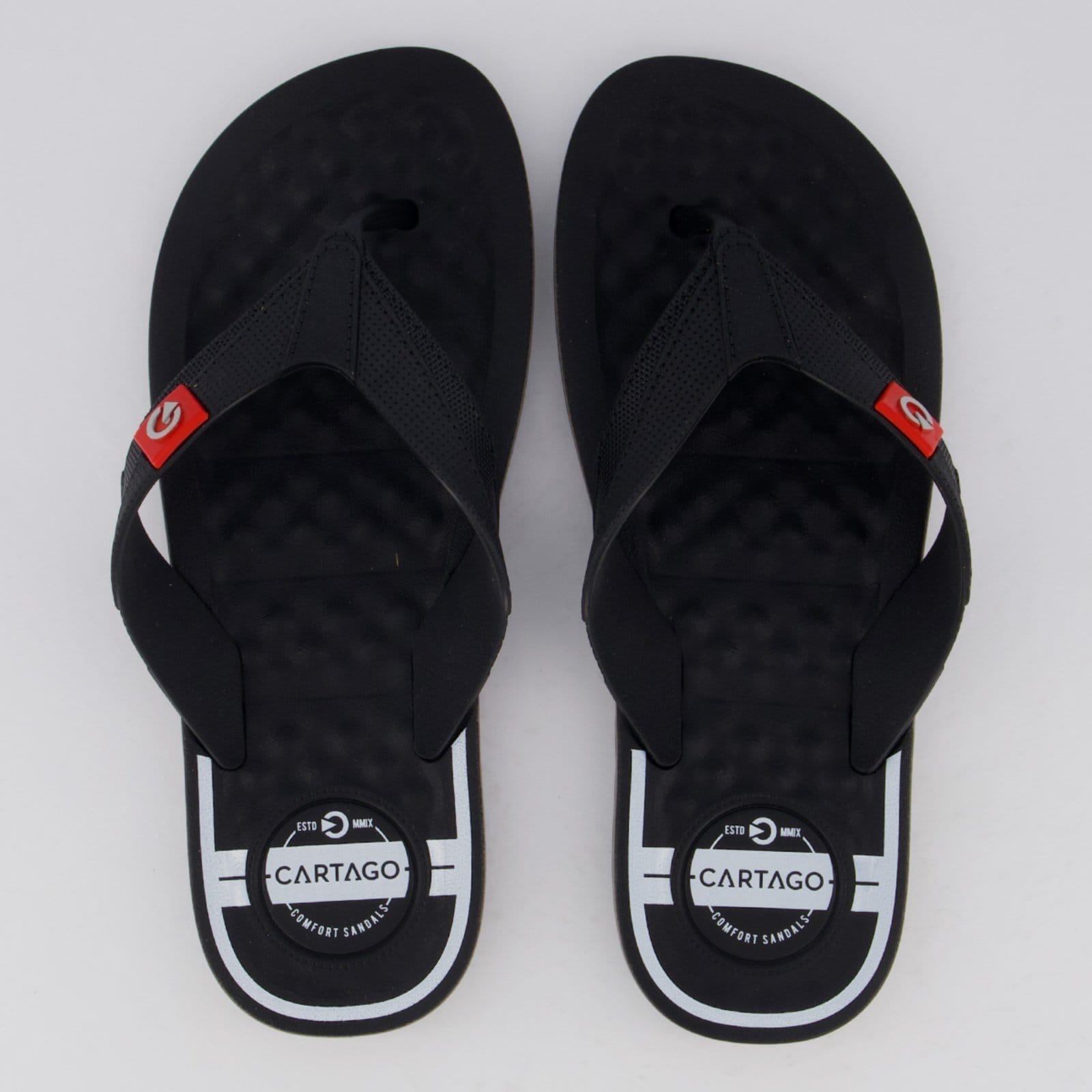 Chinelo Cartago Arizona II e Cinza