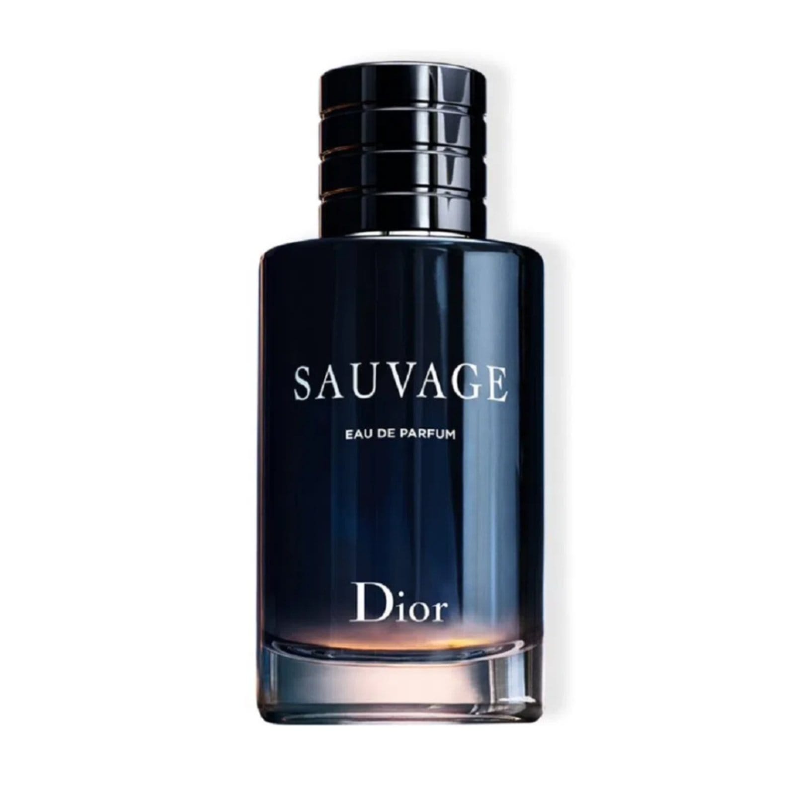 Sauvage Masculino Eau de Parfum 100 ml