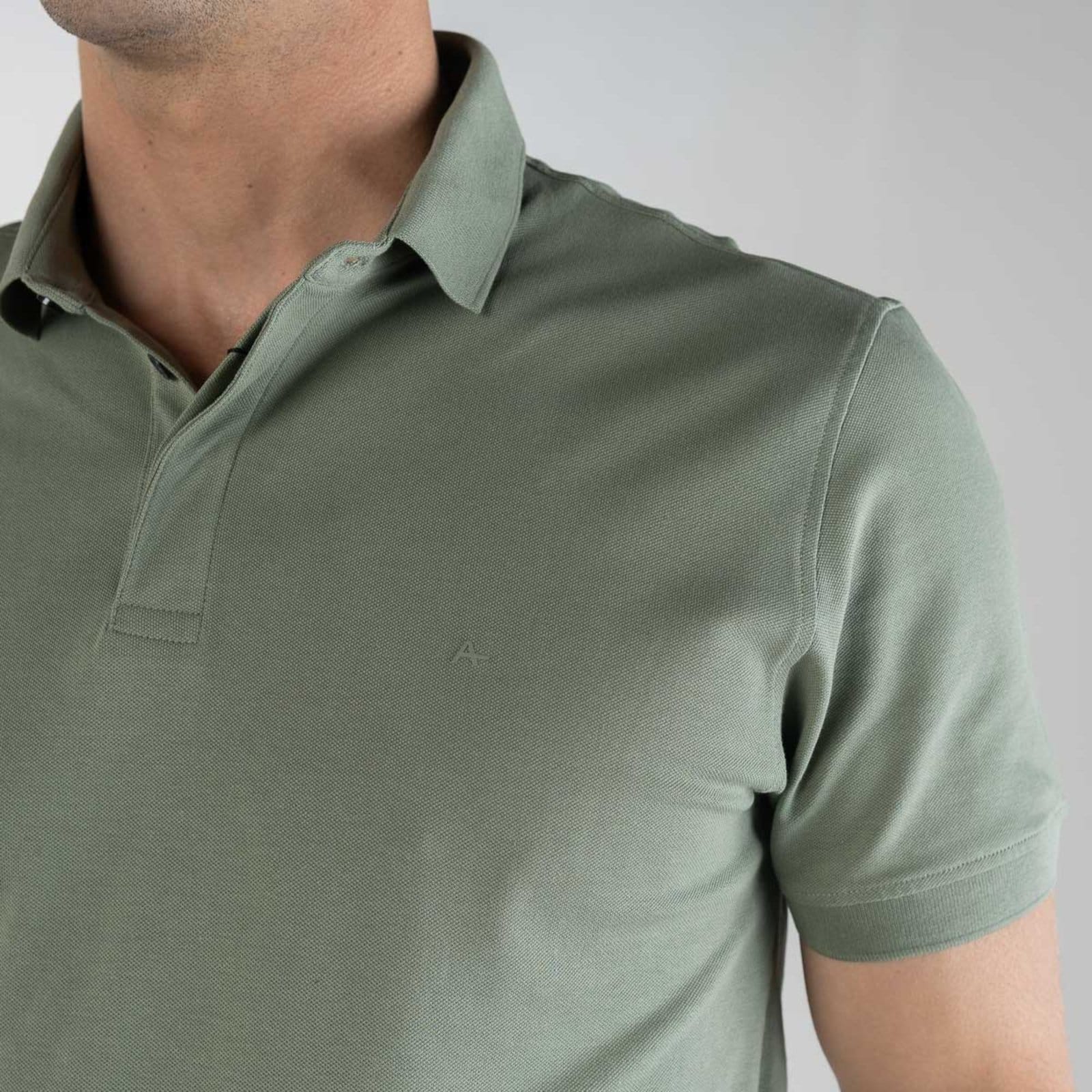 Vista 2 Camisa Polo Aramis Colorfix Salvia Aramis verde
