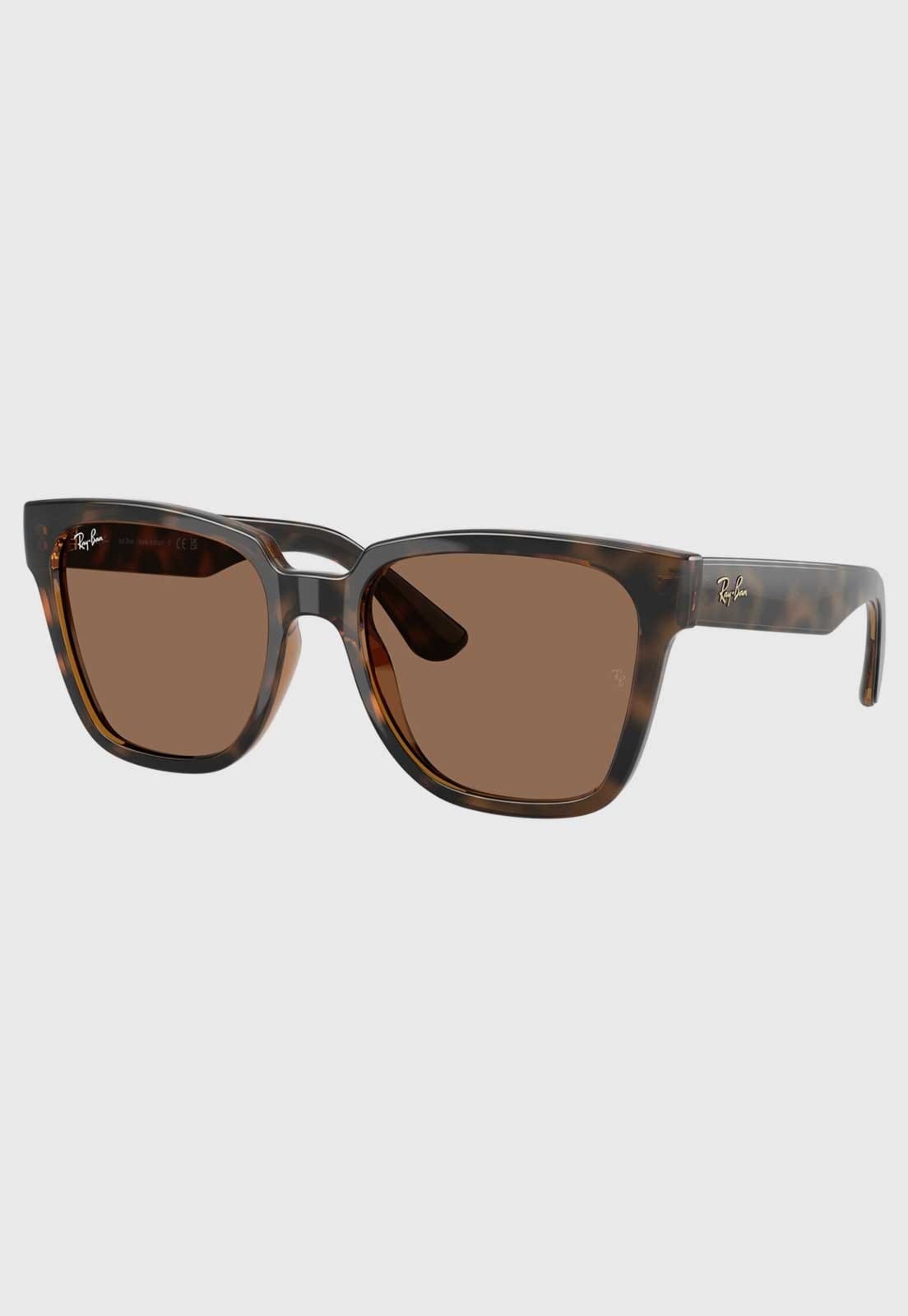 Óculos De Sol Ray-Ban 0Rb4437L Lente Degradê