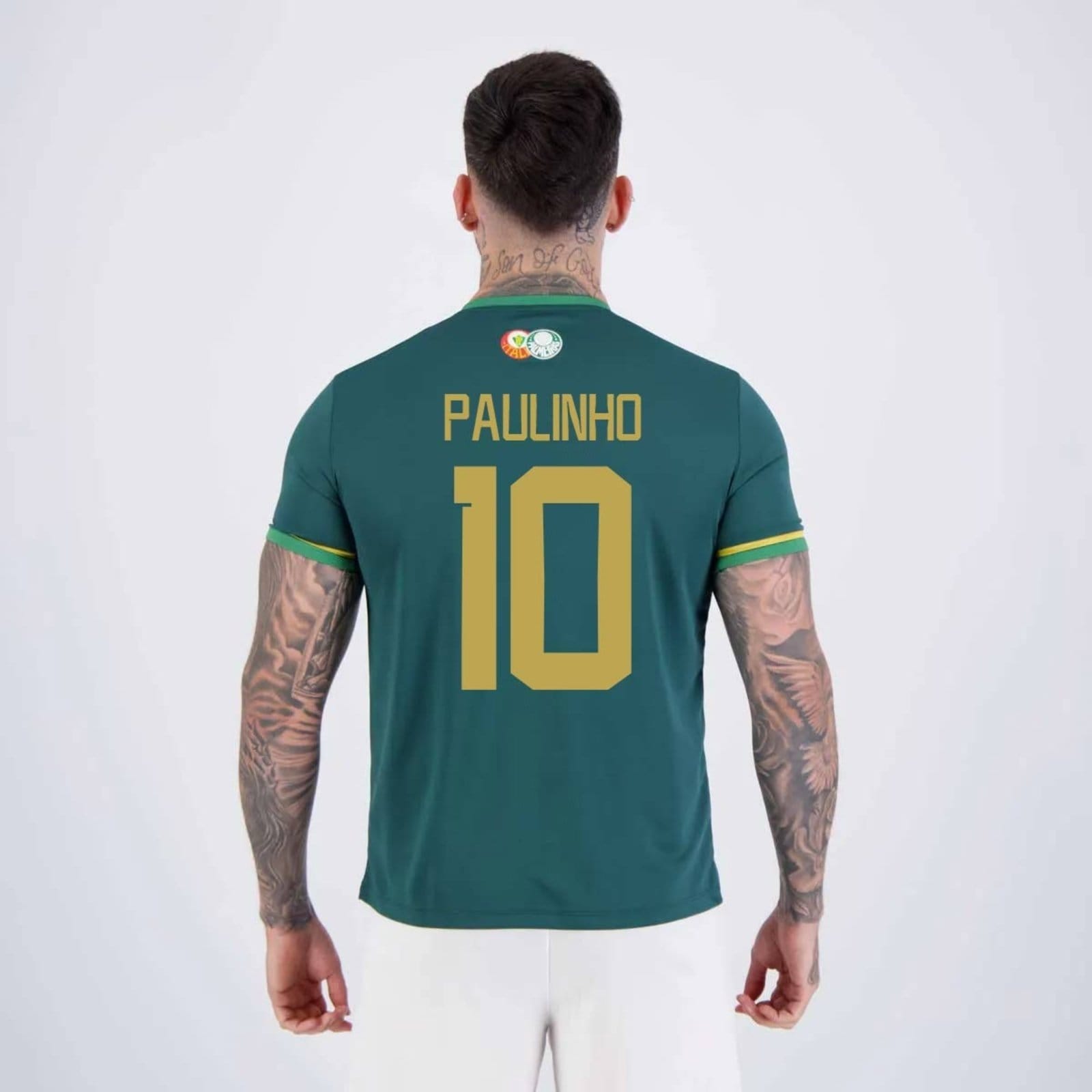 Camisa Palmeiras Energy IV 10 Paulinho