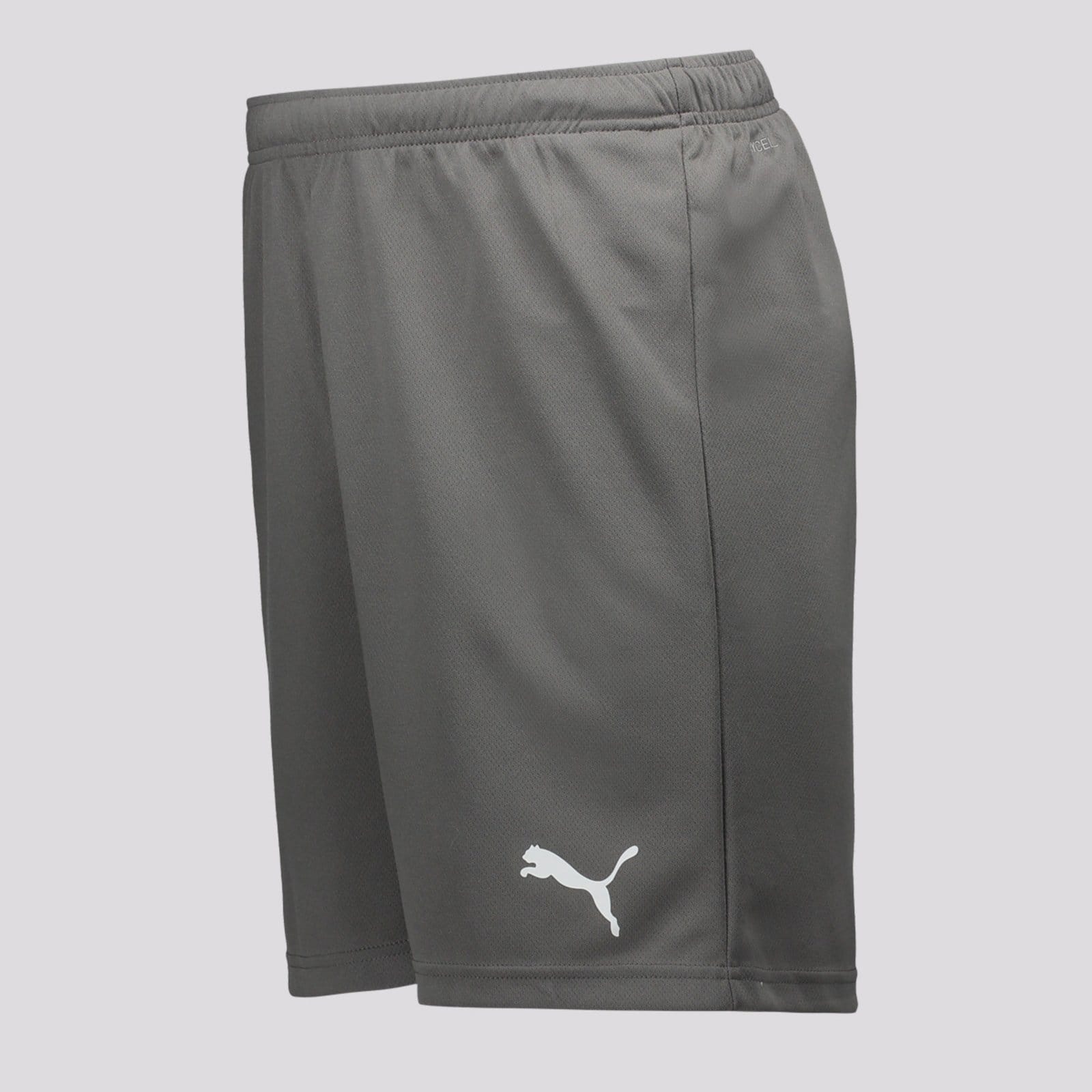 Vista 2 Bermuda Puma Teamrise Puma cinza