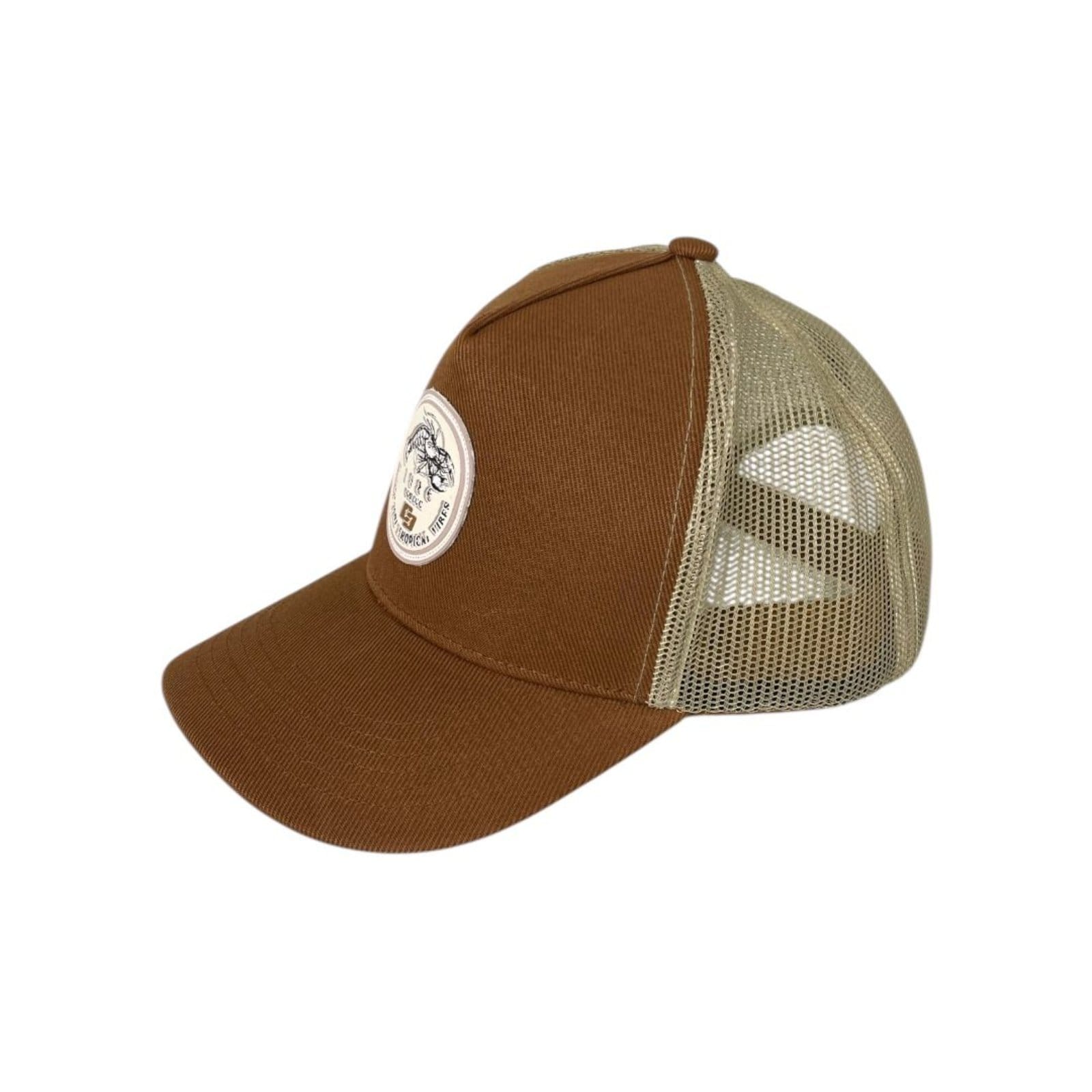 Vista 2 Boné Tela Polinext Colcci Baoba Colcci marrom