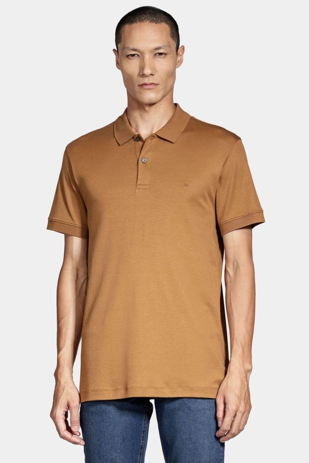 Vista principal Polo Aramis Interlock Pima Caramelo Aramis incolor