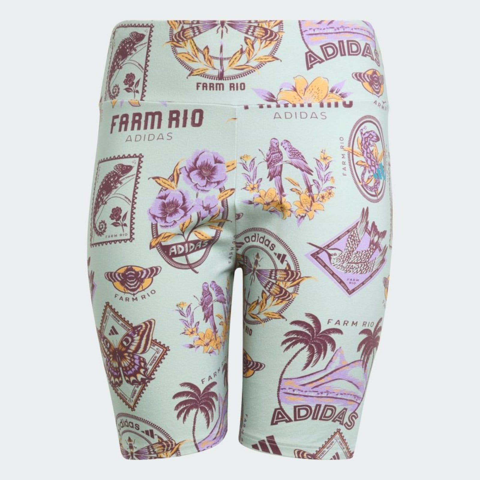 Vista 2 Shorts Ciclista adidas x FARM (Plus Size) adidas Sportswear Adidas cinza