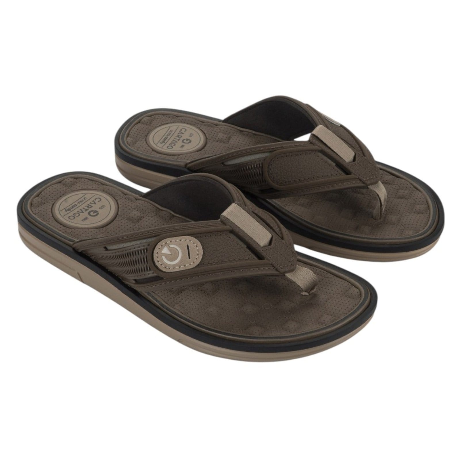 Chinelo Masculino Lyon 4 Grendene 12531 - 2