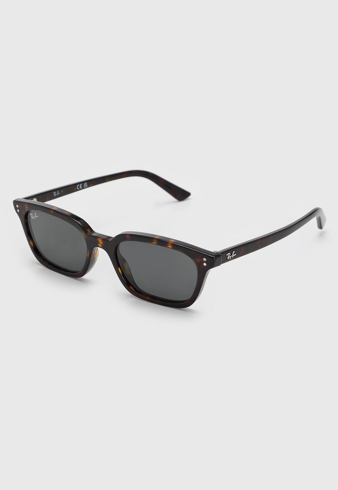 Vista principal Óculos Feminino Ray-Ban 0RB4456 Ray-Ban marrom
