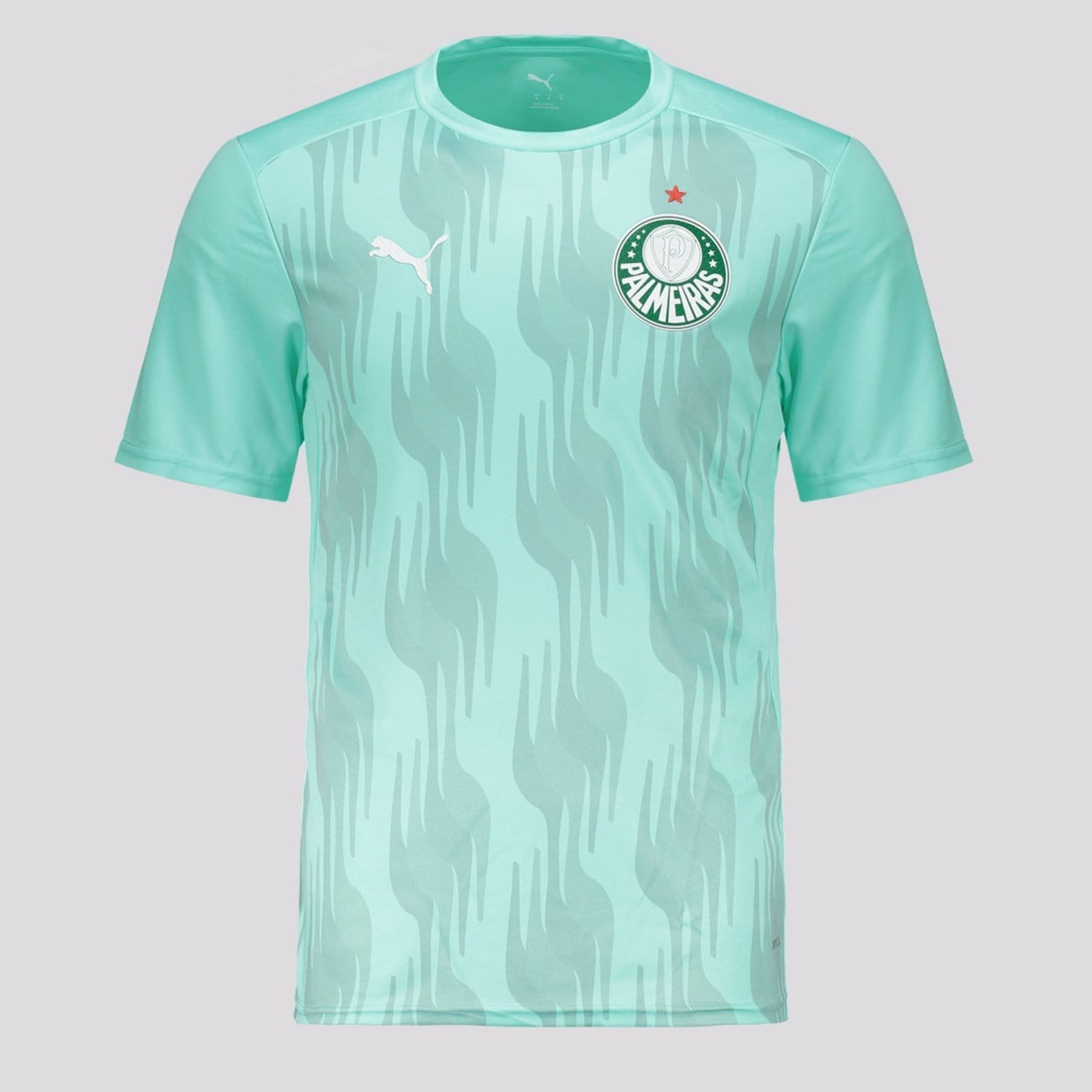 Vista principal Camisa Puma Palmeiras Pré-Jogo 2025 Puma verde