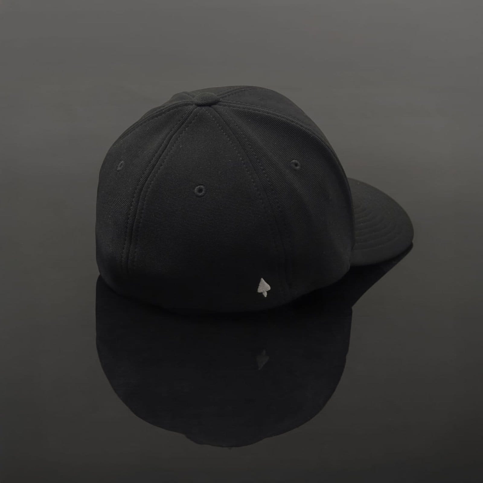 Boné Flexfit Aba Curva - 2