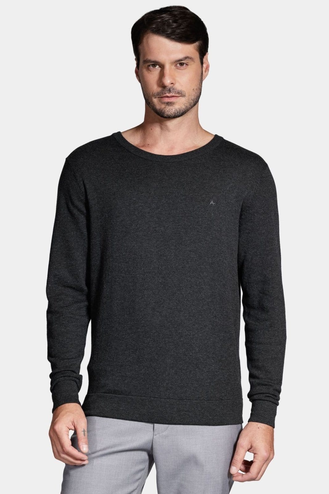Vista principal Tricot Manga Longa Gola Careca Mescla Aramis grafite