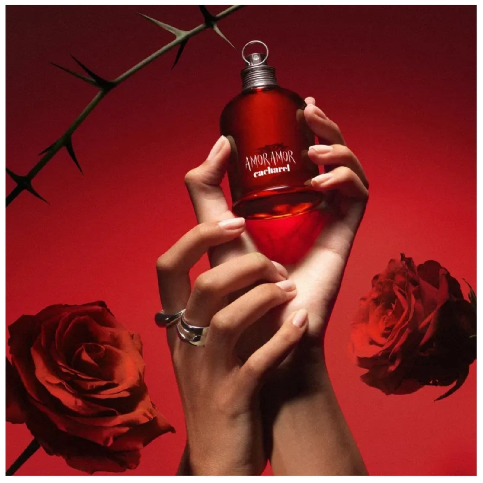 Vista 2 Amor Amor Cacharel Eau de Toilette - Perfume Feminino Cacharel unico