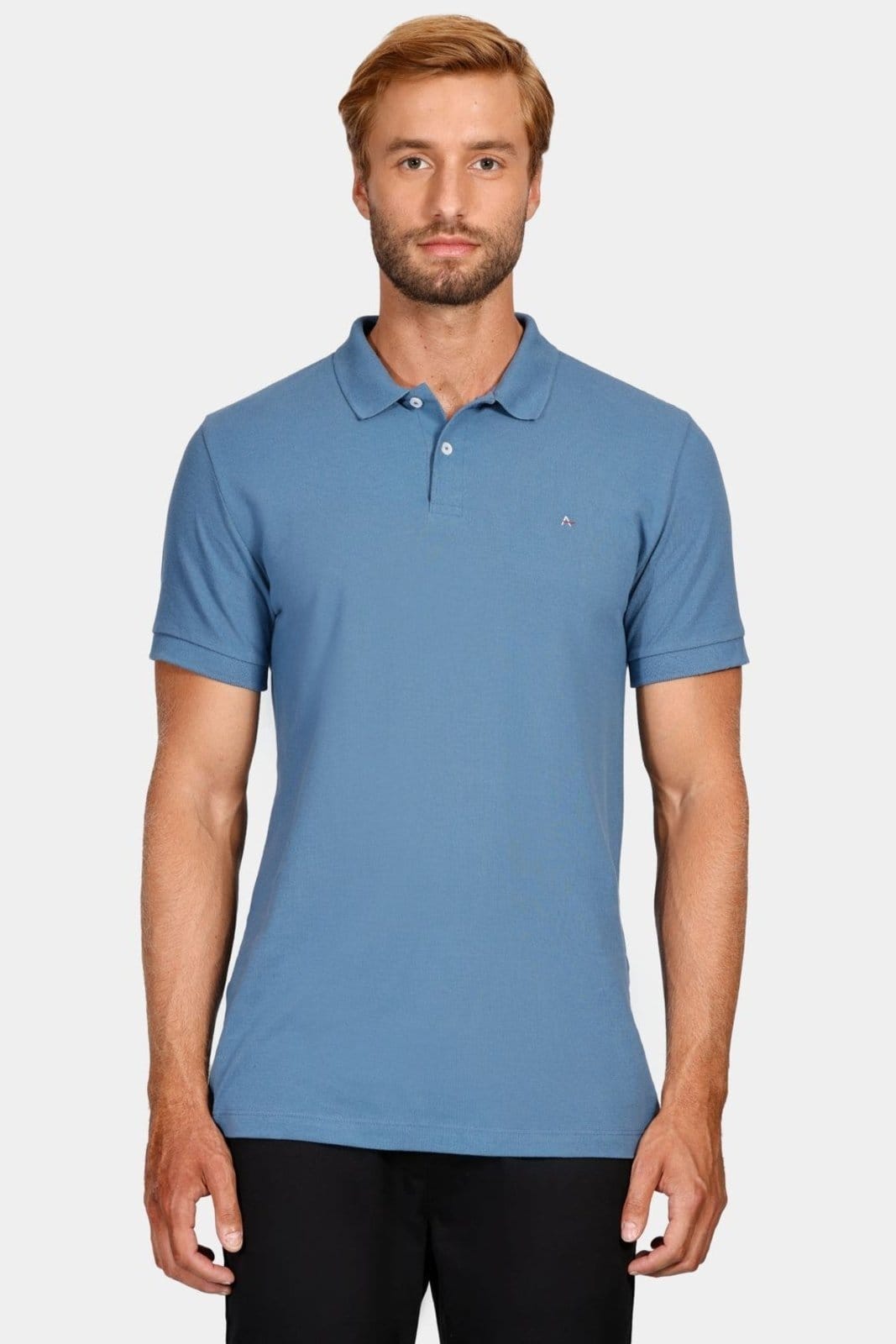 Vista principal Polo Aramis Manga Curta Lisa Piquet Azul Médio Aramis incolor azul