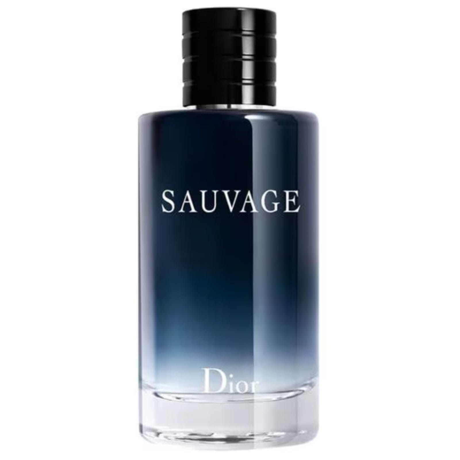 Vista principal Sauvage Masculino Eau de Toilette 100 ml Dior incolor