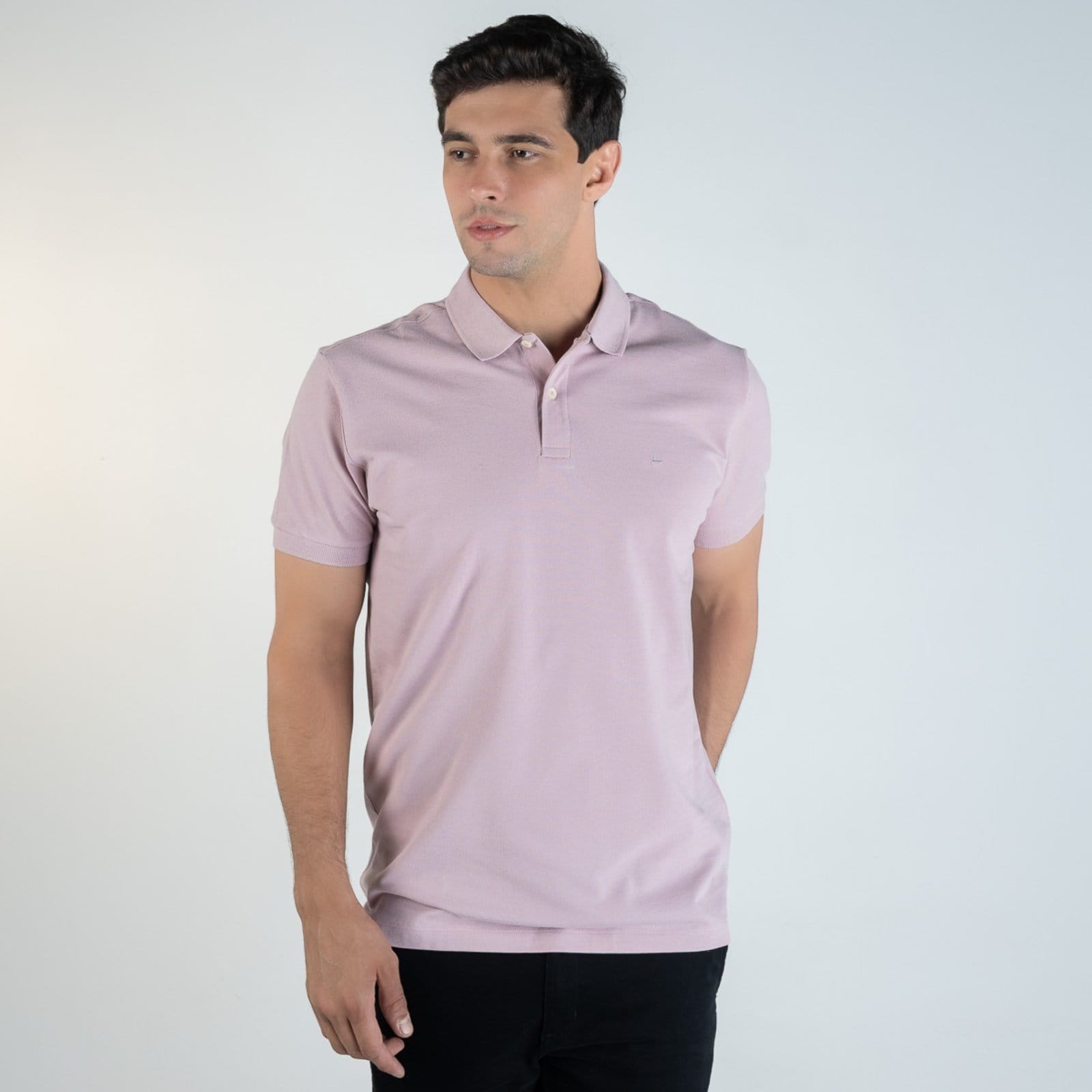 Camisa Polo Aramis