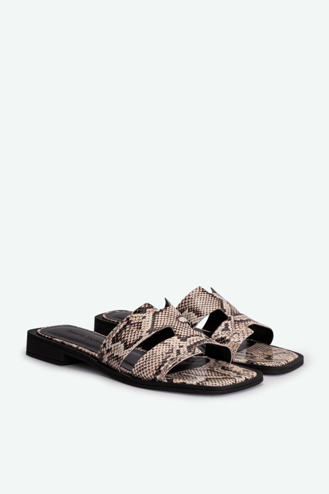 Vista 2 Flat Chloe Suzana Santos cobra