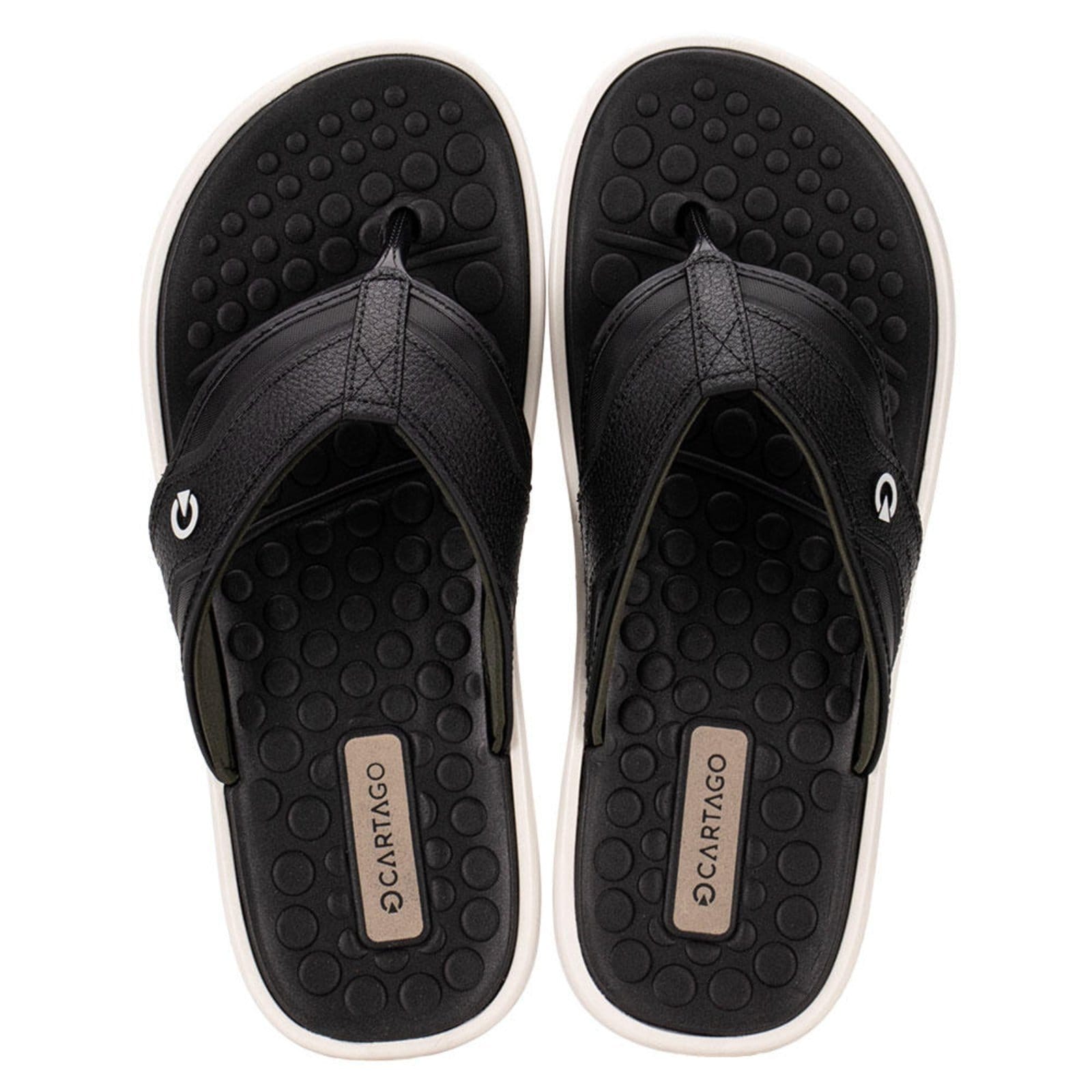 Chinelo Masculino Veneto Iii Cartago 12452 3292452