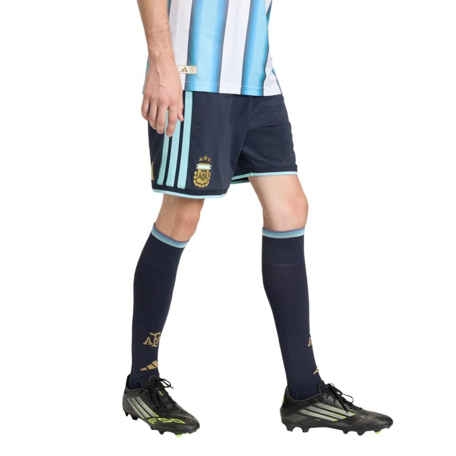 Shorts Versão do Jogador Seleção Argentina 26 adidas Performance