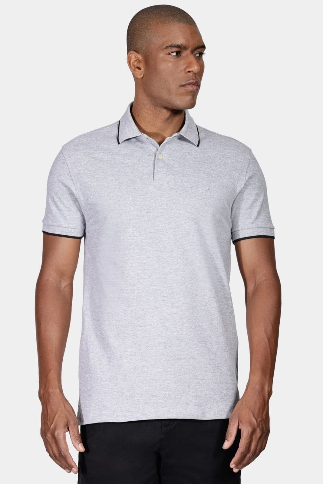 Polo Aramis Básica Cinza