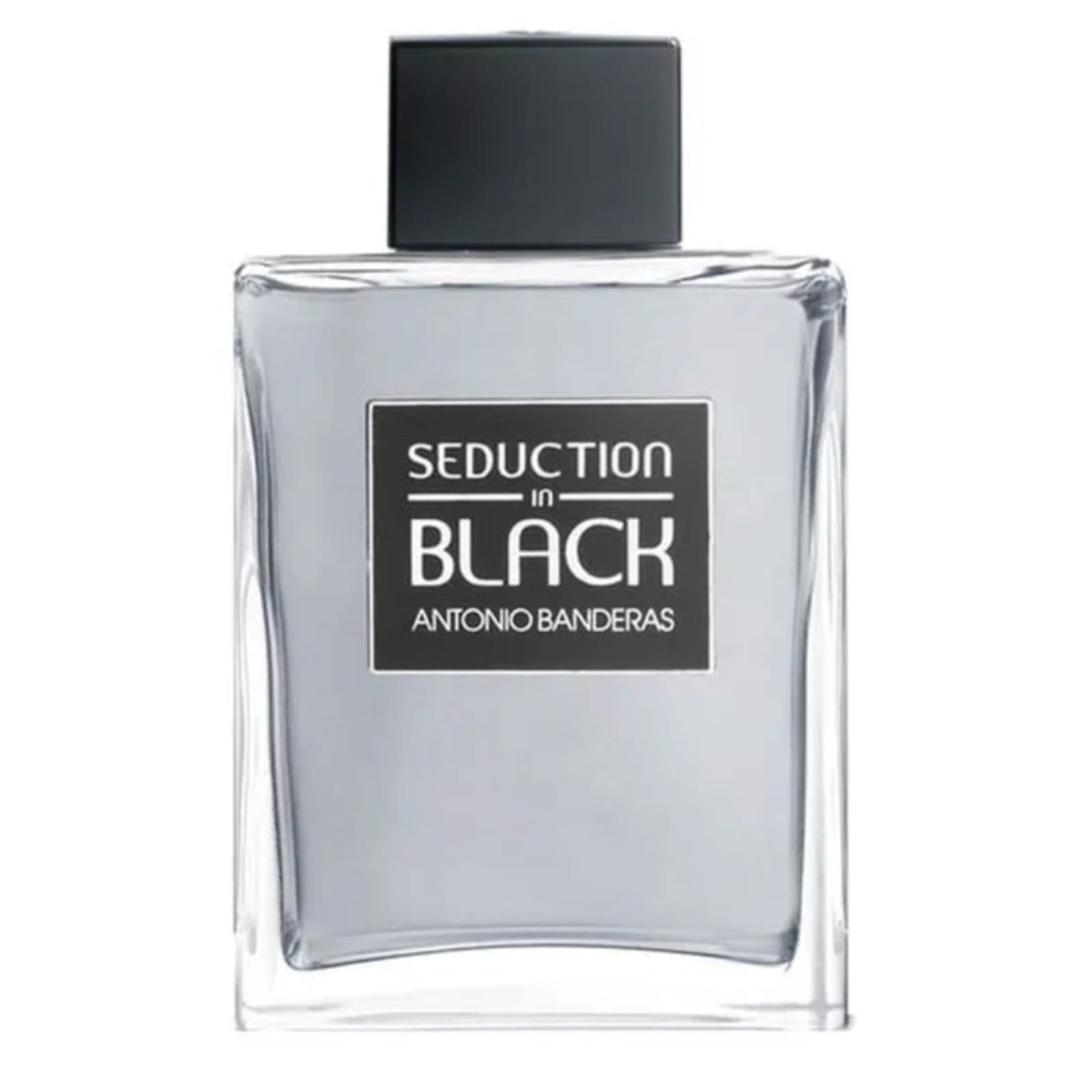 Seduction In Black Masculino Eau de Toilette 200 Ml