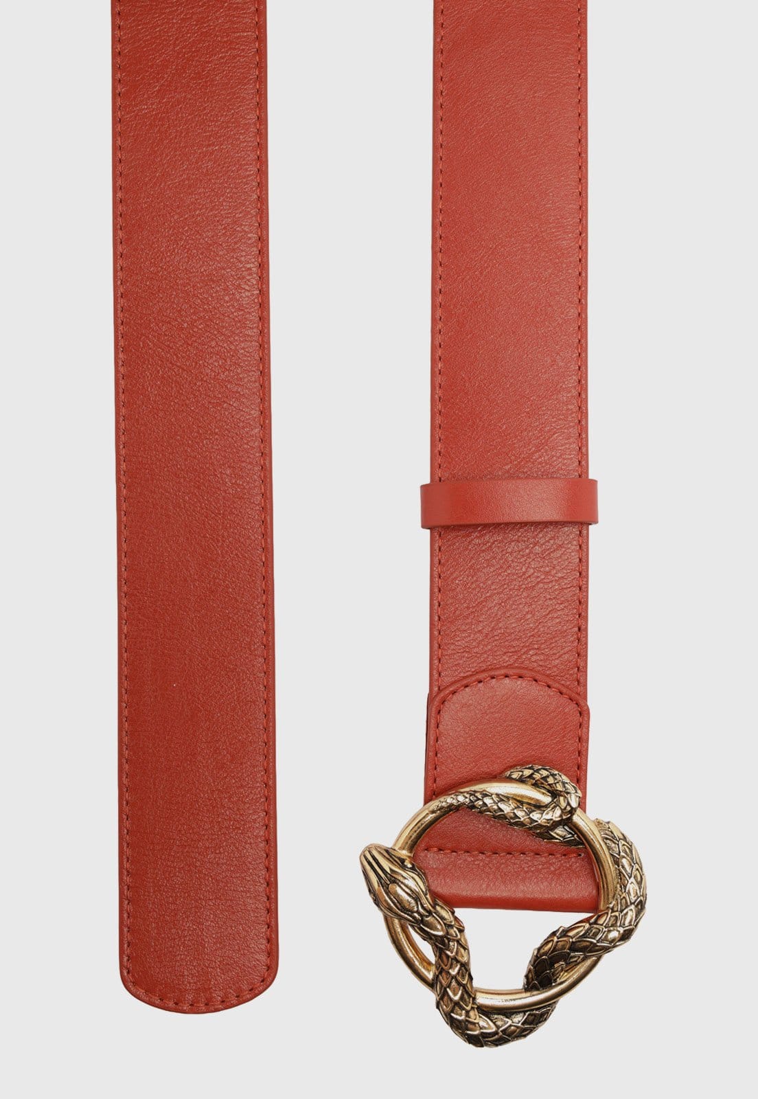 Vista 2 Cinto Feminino Arezzo Veg Oil Fivela Serpente Arezzo laranja