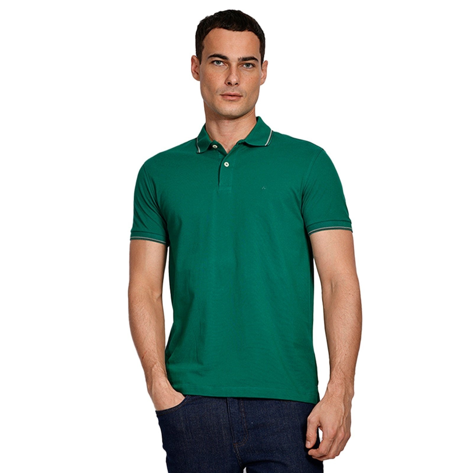 Imagem principal Camisa Polo Aramis 4 Frisos Ve25 Masculino Aramis verde