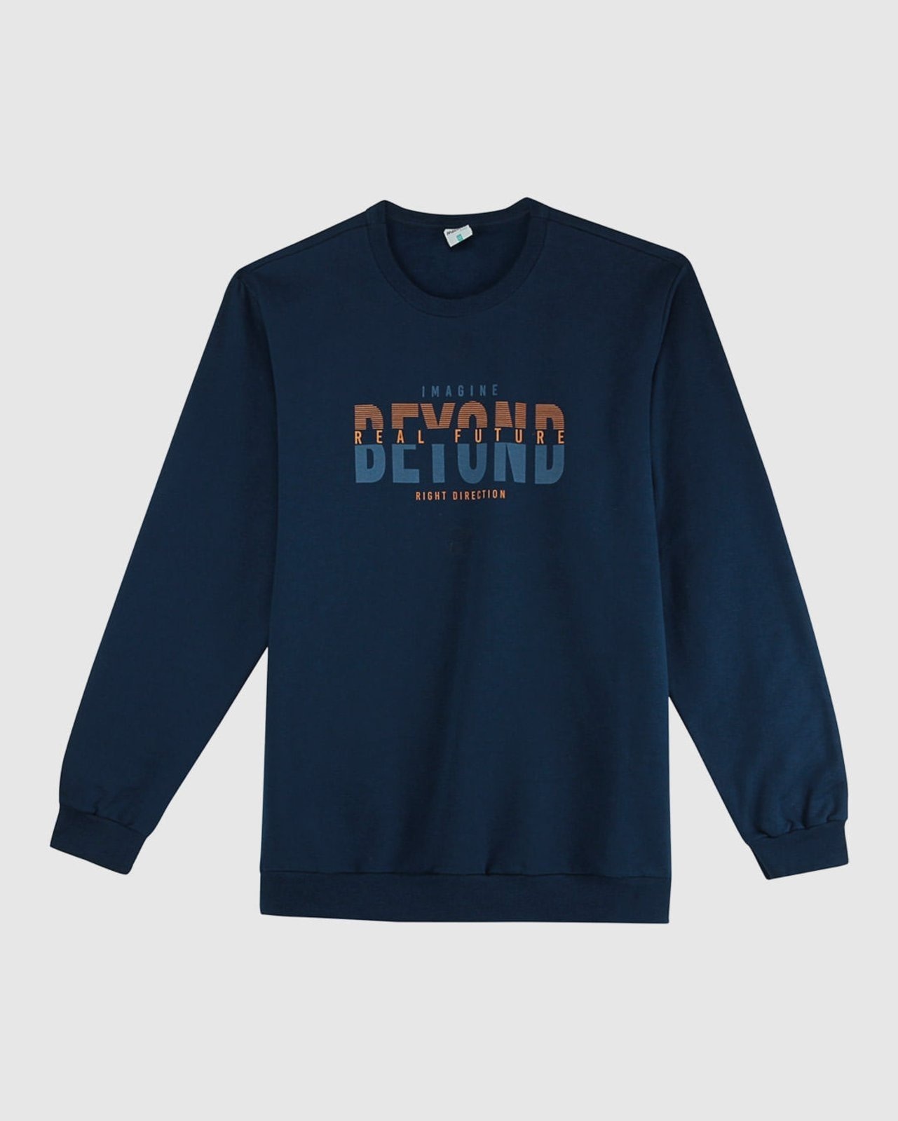 Imagem principal Blusão Com Estampa Frontal Em Moletom Flanelado Malwee Plus Malwee azul