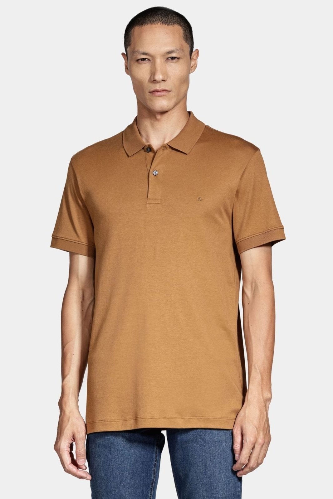 Imagem principal Polo Aramis Interlock Pima Caramelo Aramis incolor