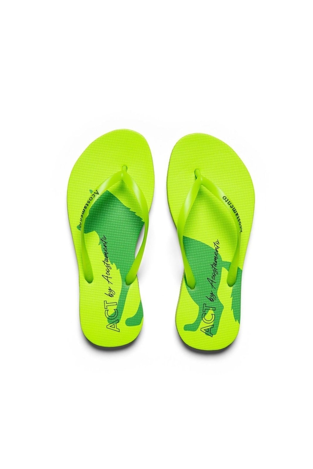 Imagem principal Chinelo Square Wolf Bright ACT Feminino ACOSTAMENTO ESSENTIALS verde