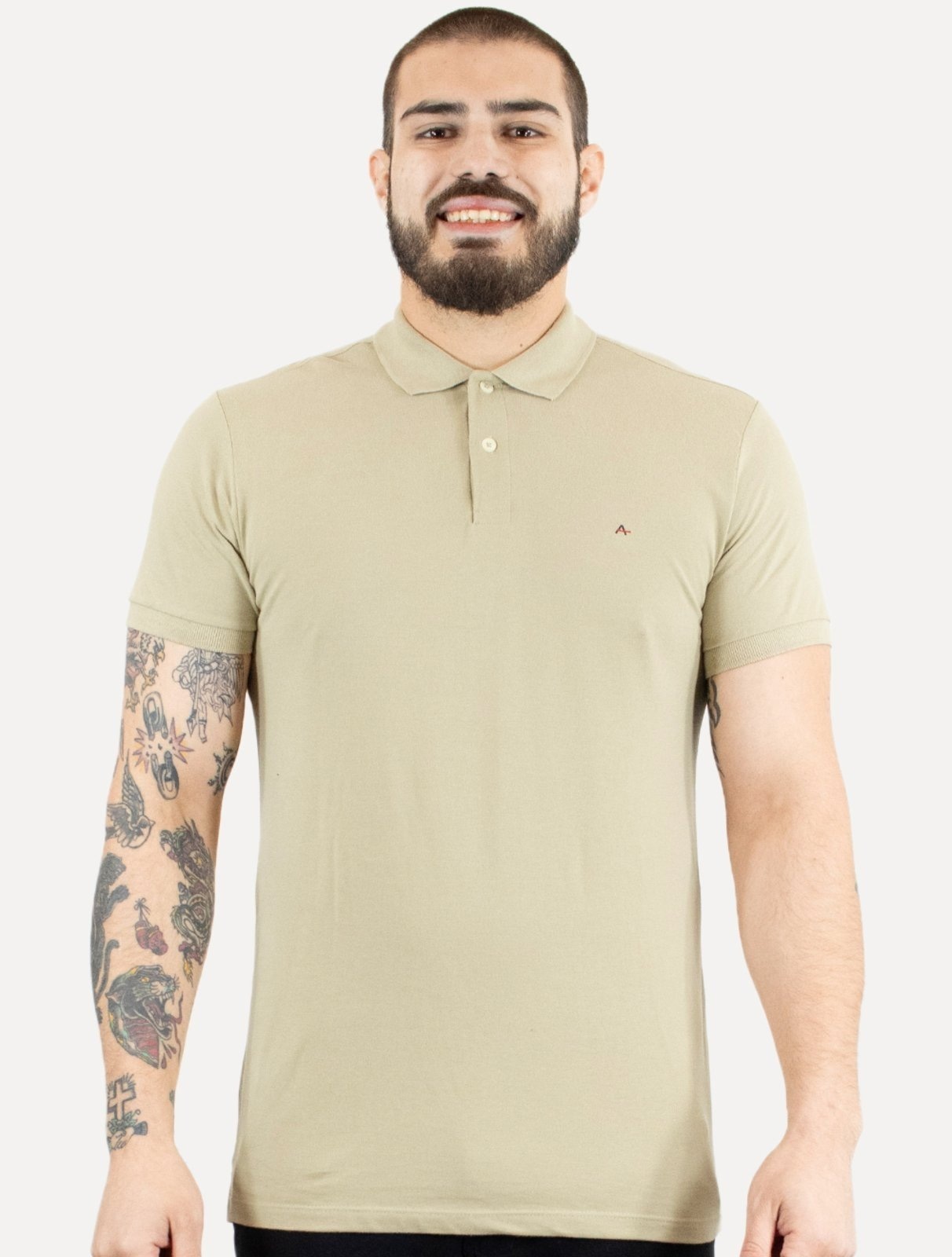 Imagem principal Polo Aramis Masculina Regular Basic Piquet Dark Aramis cáqui
