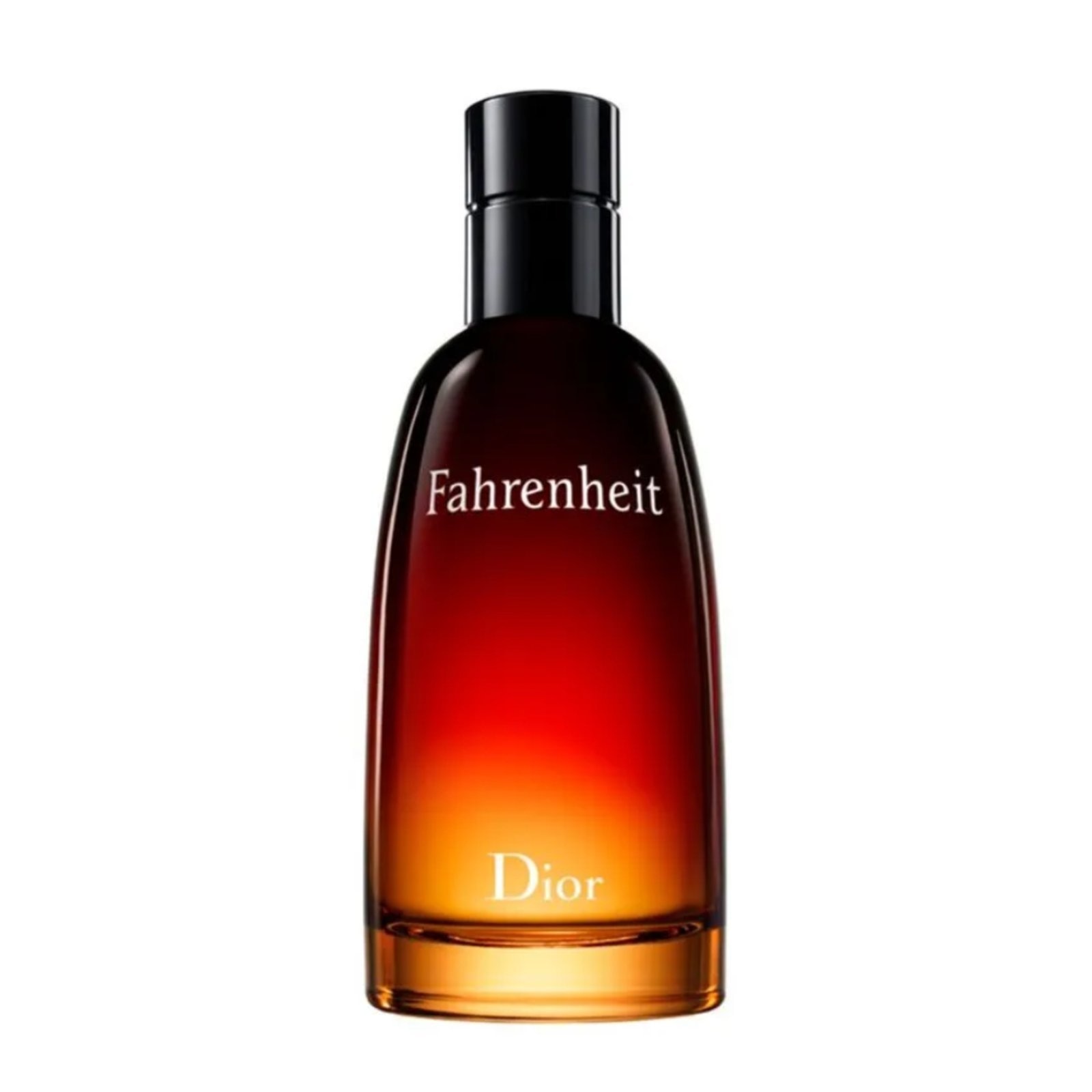 Imagem principal Fahrenheit Masculino Eau de Toilette 100 ml Dior incolor