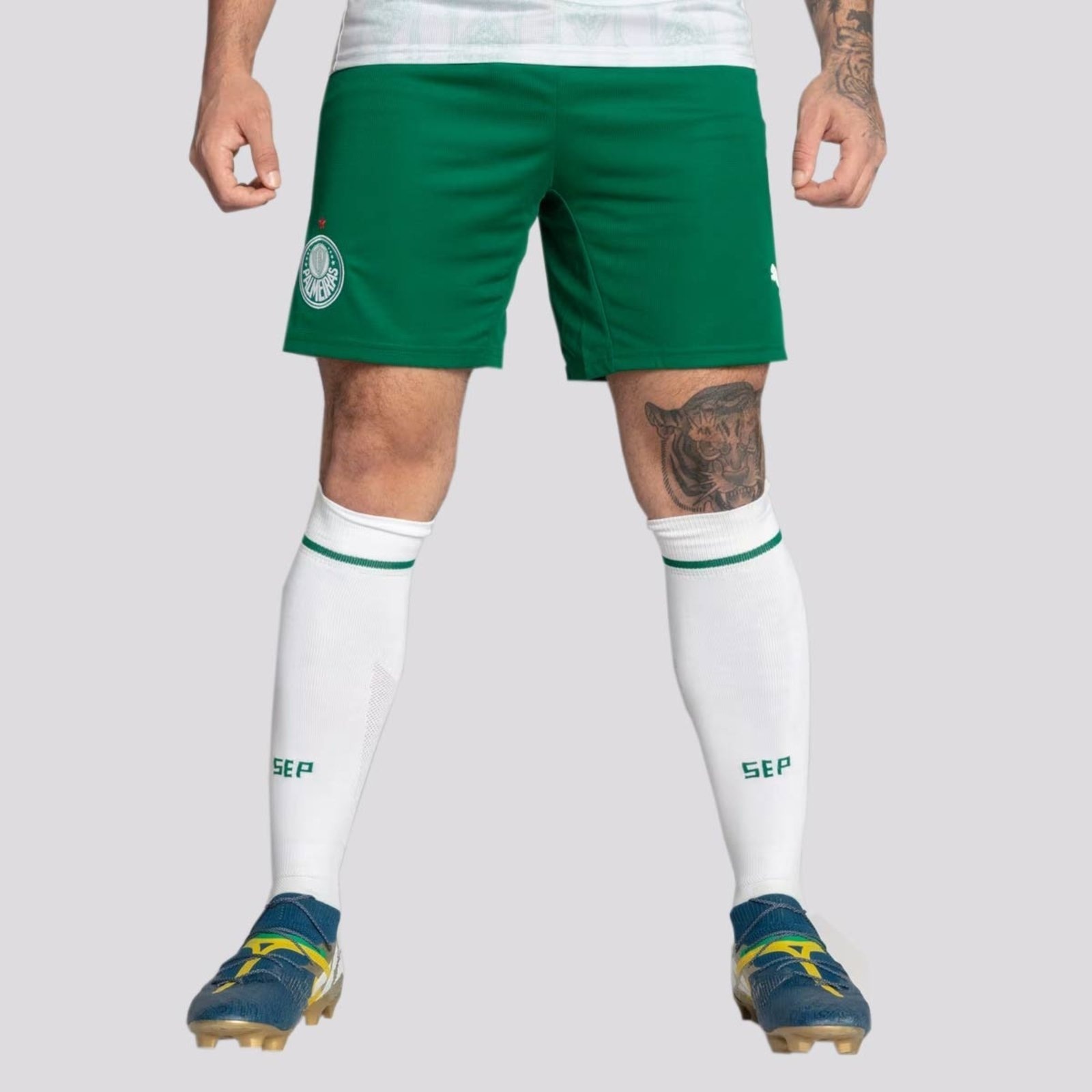 Imagem principal Calção Puma Palmeiras II 2025 Puma verde