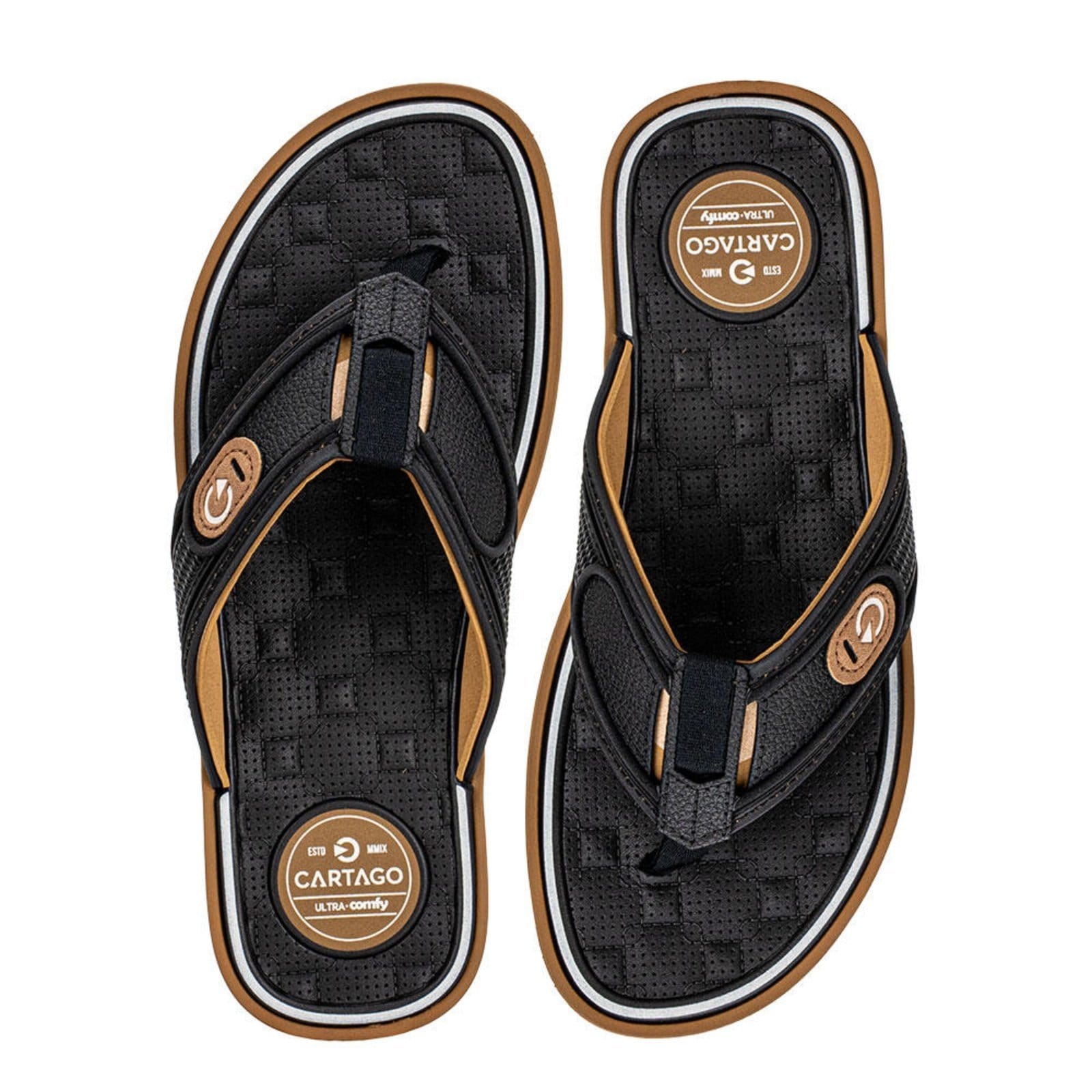 Chinelo Masculino Lyon Iv Cartago 12531 3292531